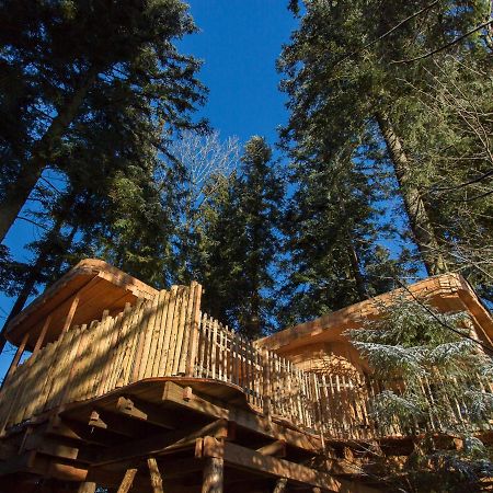 Domaine De L'Authentique Cabanes Dans Les Arbres Fournet-Blancheroche Екстериор снимка