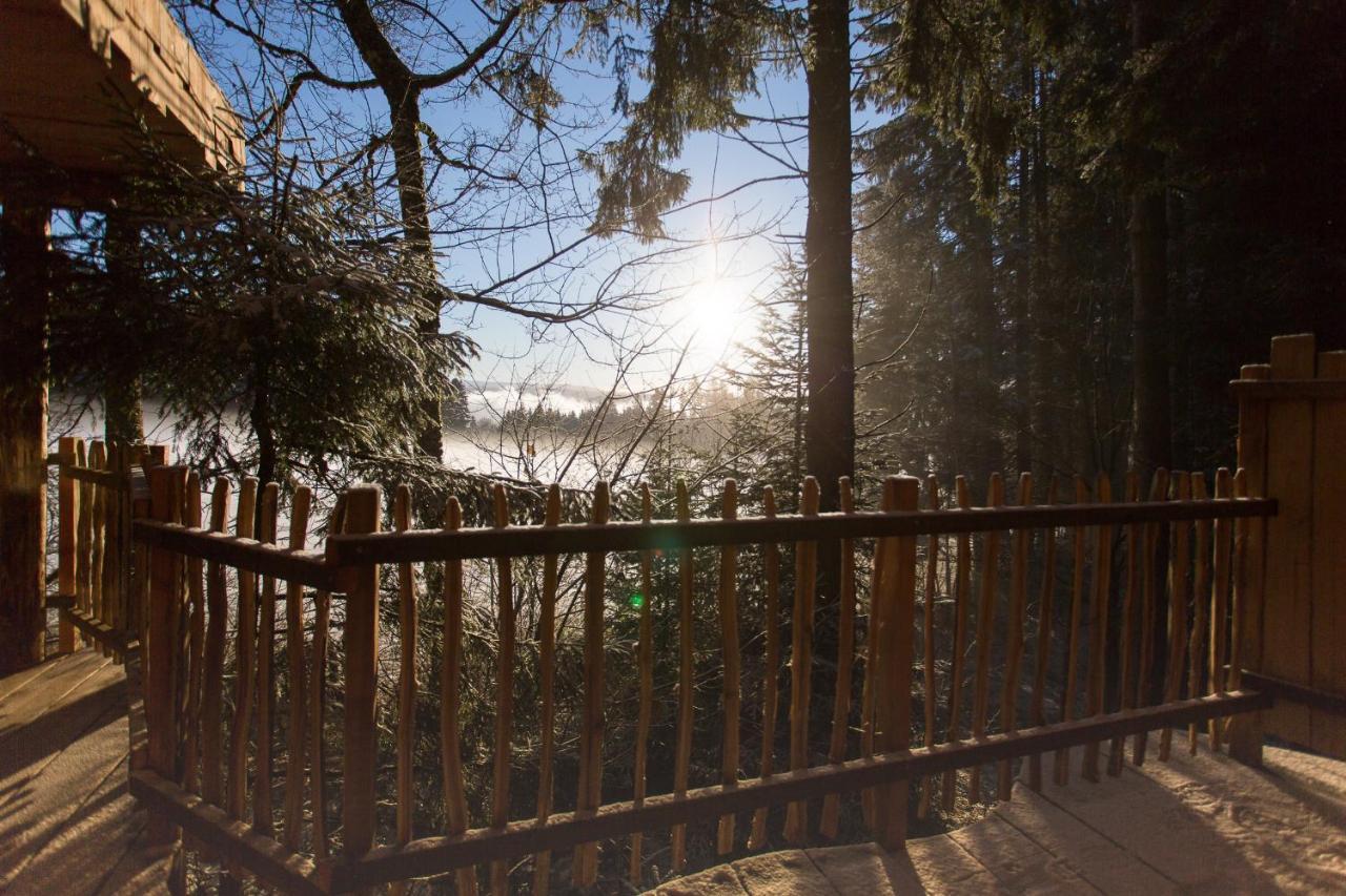 Domaine De L'Authentique Cabanes Dans Les Arbres Fournet-Blancheroche Екстериор снимка