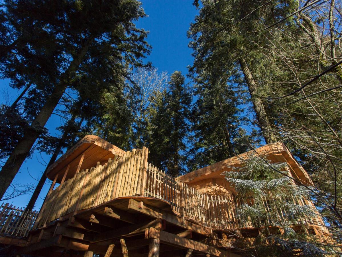 Domaine De L'Authentique Cabanes Dans Les Arbres Fournet-Blancheroche Екстериор снимка