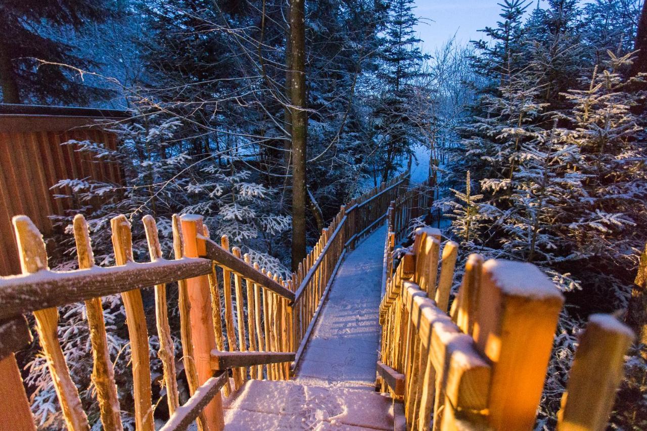 Domaine De L'Authentique Cabanes Dans Les Arbres Fournet-Blancheroche Екстериор снимка