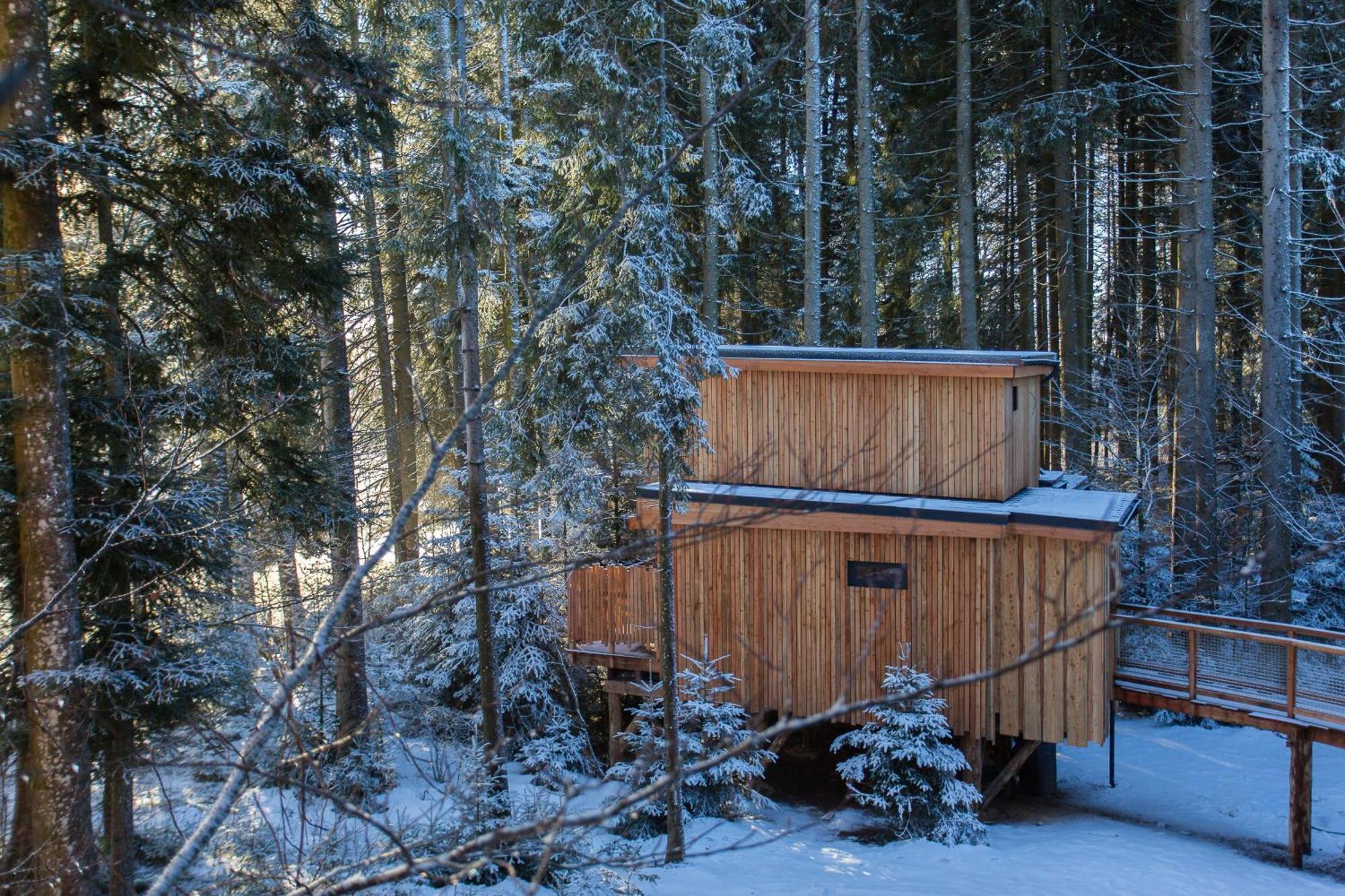 Domaine De L'Authentique Cabanes Dans Les Arbres Fournet-Blancheroche Стая снимка