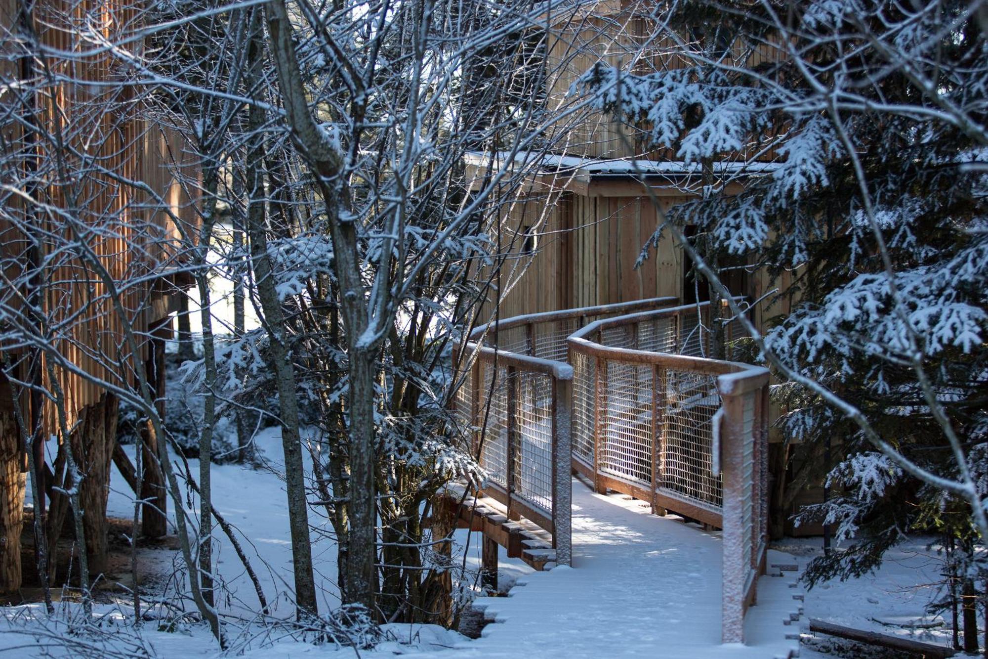 Domaine De L'Authentique Cabanes Dans Les Arbres Fournet-Blancheroche Стая снимка